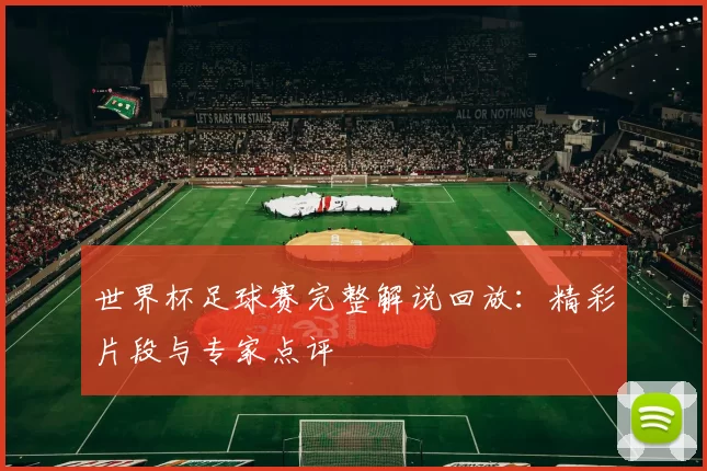 世界杯足球赛完整解说回放：精彩片段与专家点评