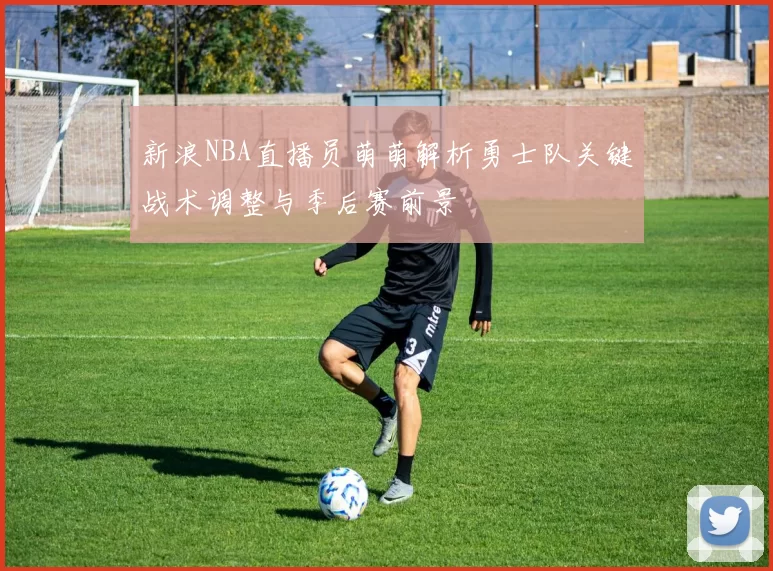 新浪NBA直播员萌萌解析勇士队关键战术调整与季后赛前景