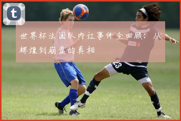 世界杯法国队内讧事件全回顾:从辉煌到崩盘的真相
