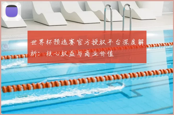 世界杯预选赛官方授权平台深度解析：核心权益与商业价值