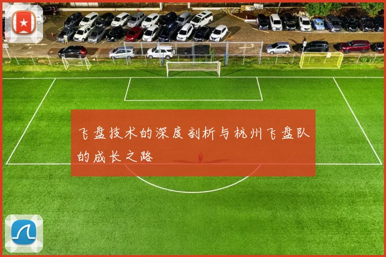 飞盘技术的深度剖析与杭州飞盘队的成长之路