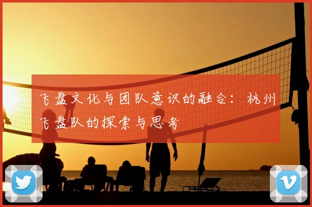 飞盘文化与团队意识的融合:杭州飞盘队的探索与思考