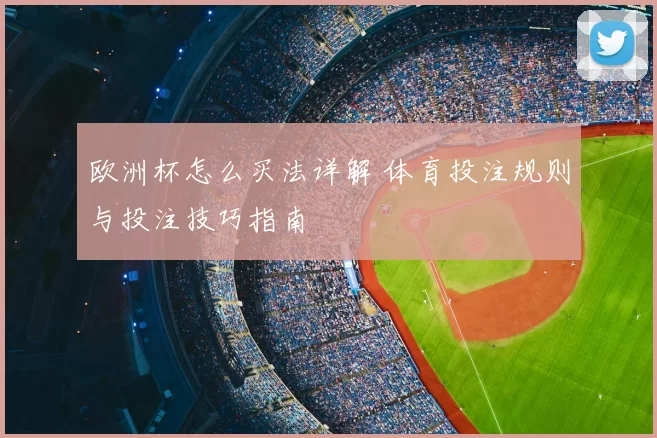 欧洲杯怎么买法详解 体育投注规则与投注技巧指南