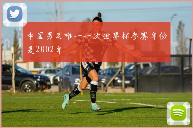 中国男足唯一一次世界杯参赛年份是2002年