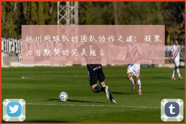 杭州网球队的团队协作之道：凝聚力与默契的完美结合