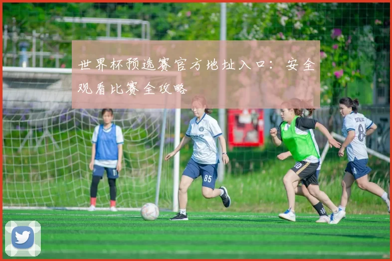 世界杯预选赛官方地址入口:安全观看比赛全攻略
