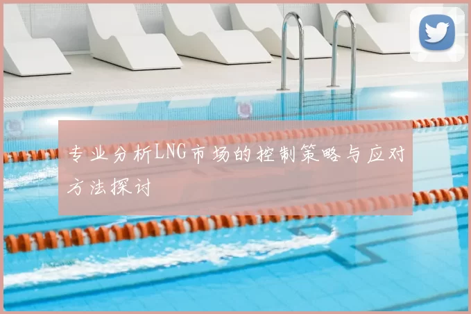 专业分析LNG市场的控制策略与应对方法探讨