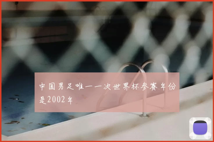 中国男足唯一一次世界杯参赛年份是2002年