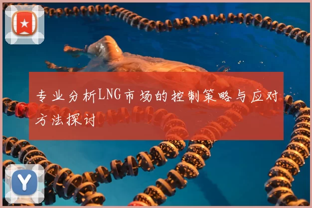 专业分析LNG市场的控制策略与应对方法探讨