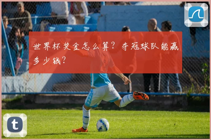 世界杯奖金怎么算?夺冠球队能赢多少钱?