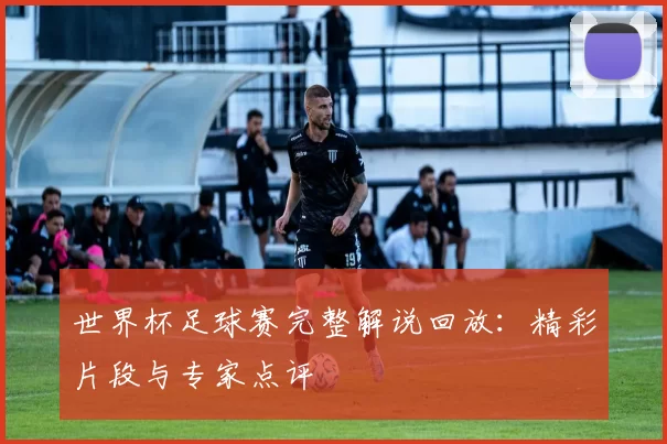 世界杯足球赛完整解说回放:精彩片段与专家点评